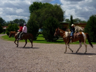 Paseos a caballo